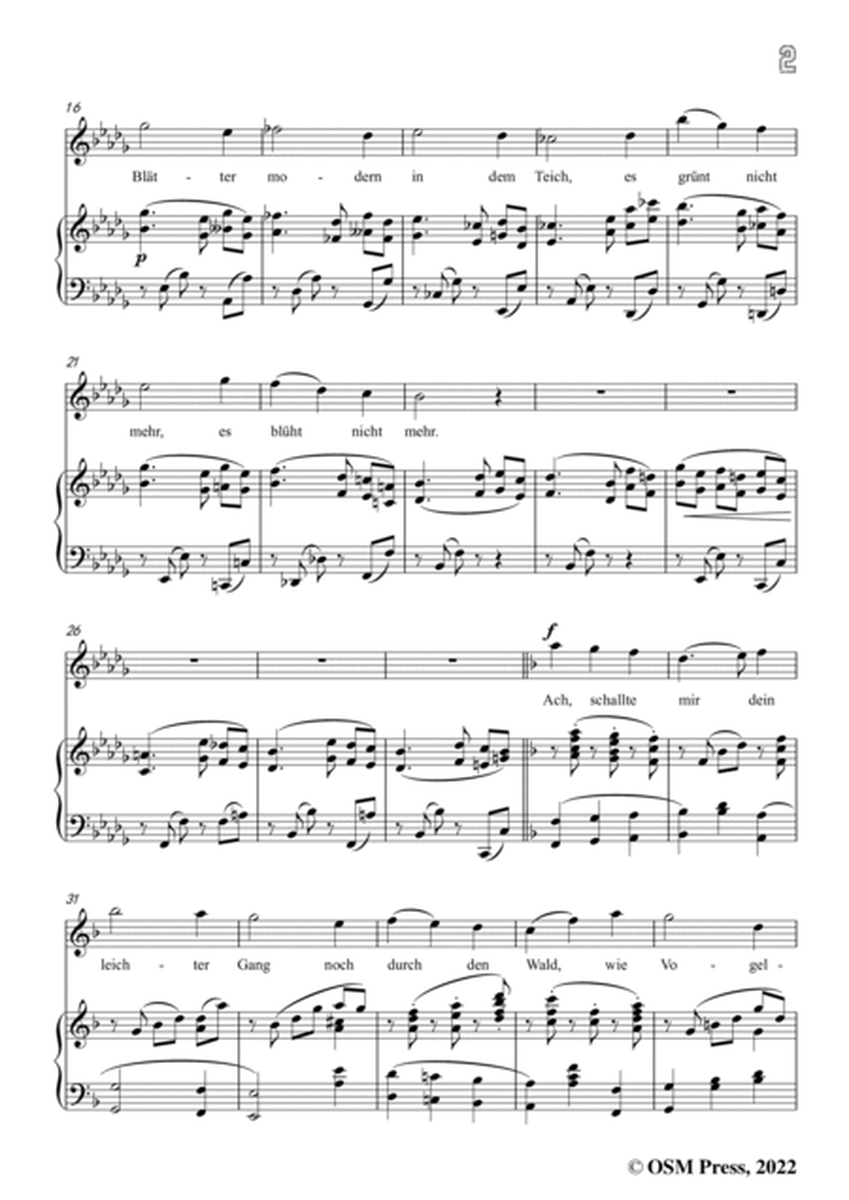 Jenner-Der Wald ist kahl,in b flat minor,Op.2 No.7