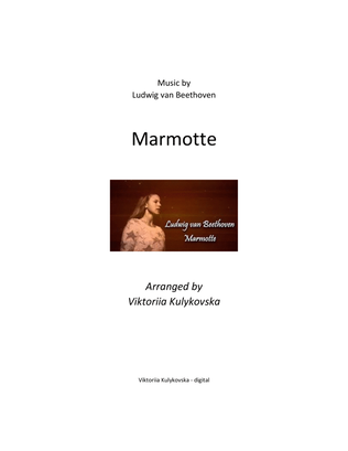 Book cover for Marmotte L. van Beethoven (solo guitar)