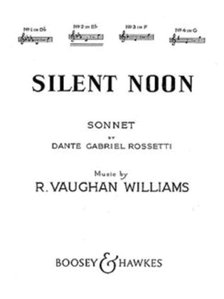 Book cover for Silent Noon