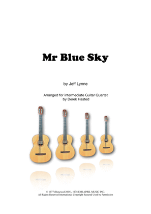 Book cover for Mr. Blue Sky