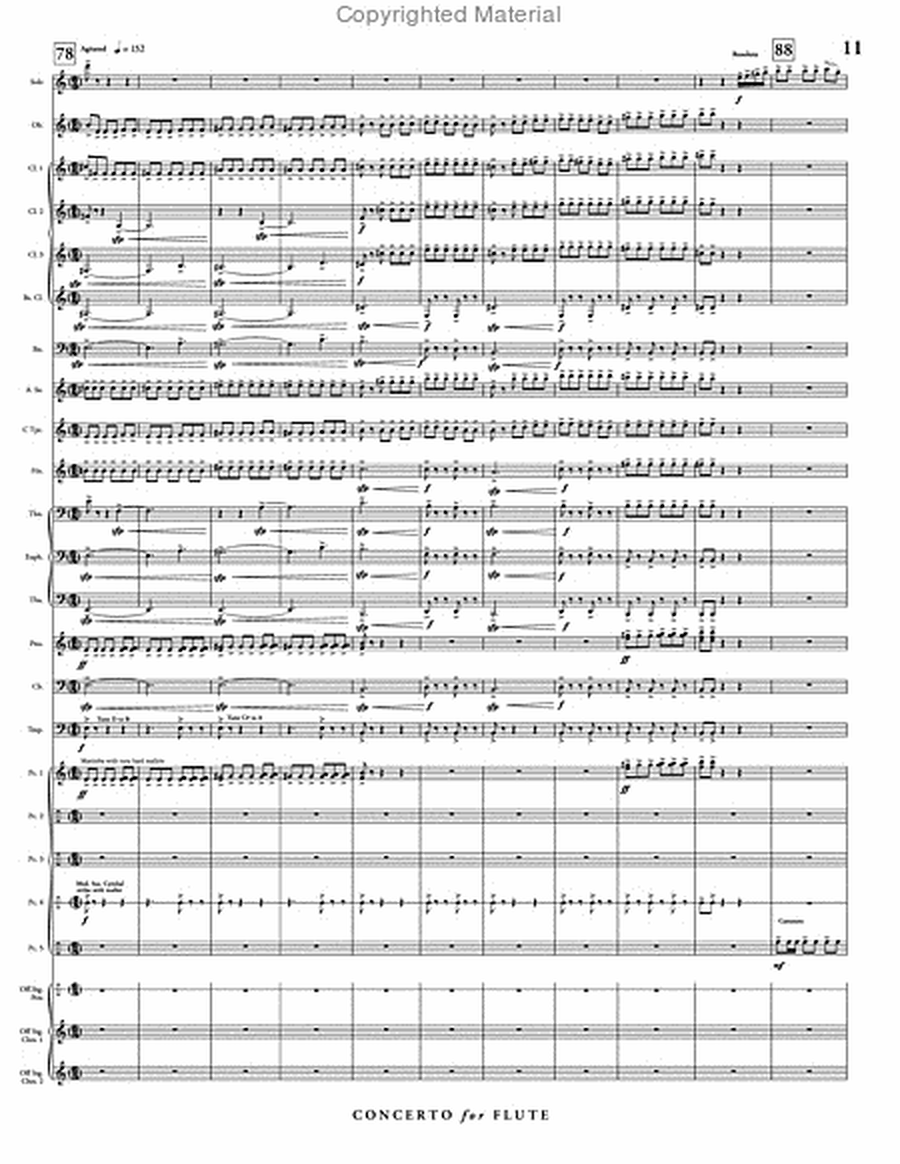 Concerto for Flute & Wind Ensemble image number null