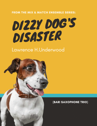 Book cover for Dizzy Dog's Disaster