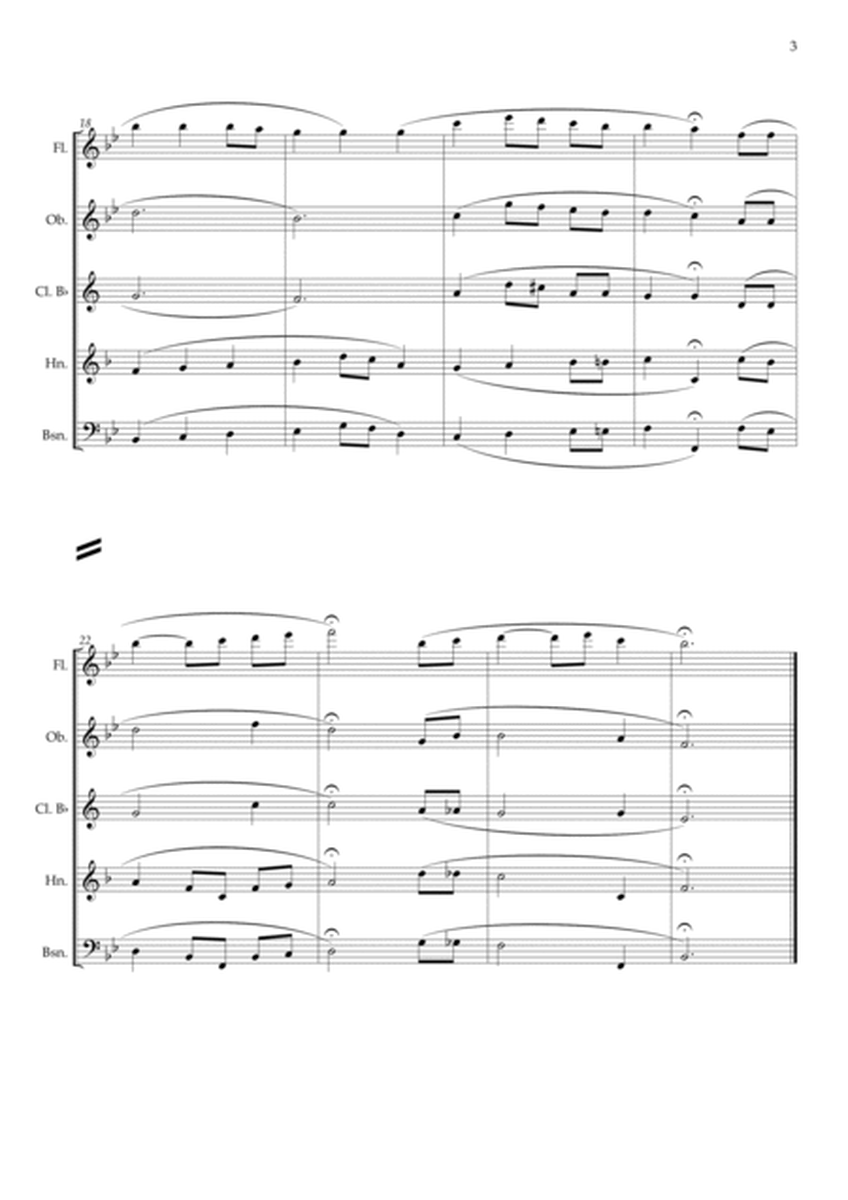 The Star-Spangled Banner - EUA Hymn (Woodwind Quintet) image number null