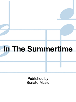 Book cover for In The Summertime