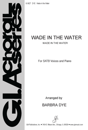 Book cover for Wade in the Water