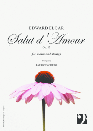 Book cover for Salut d'amour - for violin and string orchestra