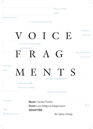 Book cover for Voice Fragments