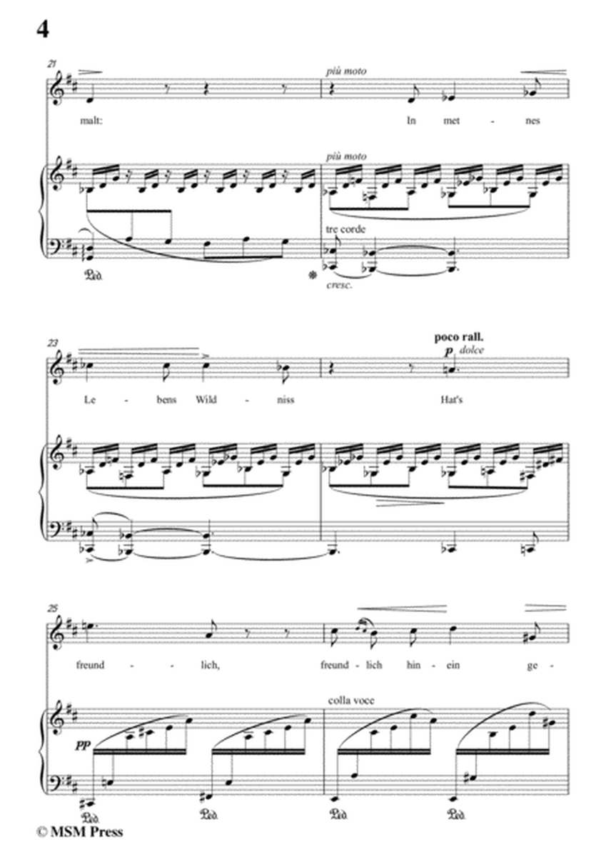 Liszt-Im Rhein,Im Schönen Strome in D Major,for Voice and Piano image number null