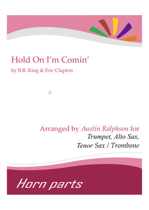 Book cover for Hold On I'm Comin'