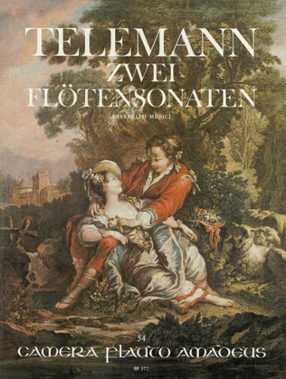 Book cover for 2 Sonaten TWV 41:D9