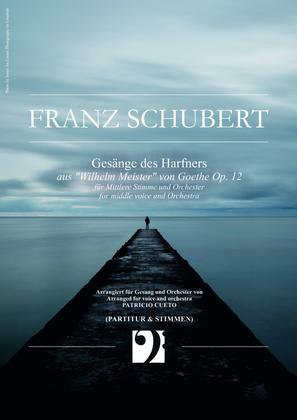 Book cover for Gesänge des Harfners - for middle voice and orchestra