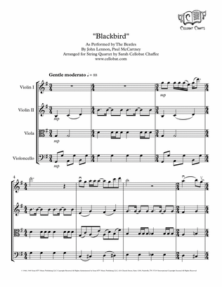 Blackbird