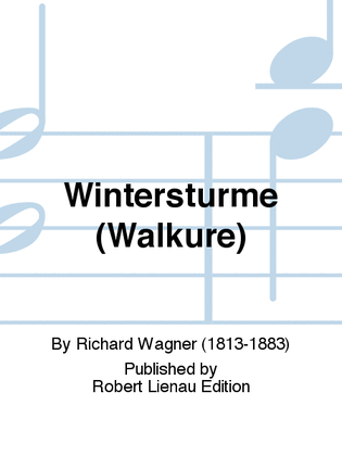 Book cover for Winterstürme (Walküre)