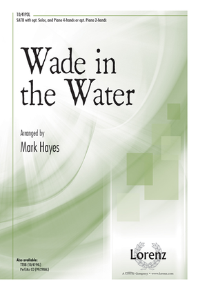 Book cover for Wade in the Water