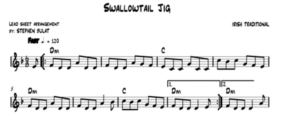 Swallowtail Jig (Irish Traditional) - Lead sheet (key of Dm)