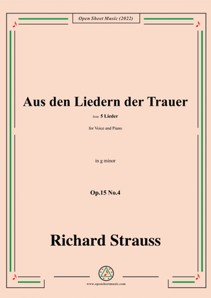 Book cover for Richard Strauss-Aus den Liedern der Trauer,in g minor
