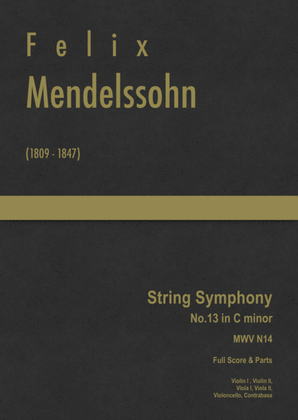 Book cover for Mendelssohn - String Symphony No.13 in C minor, MWV N 14