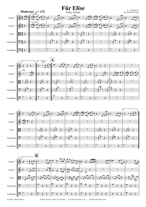 Book cover for For Elise - Ludwig van Beethoven - String Quintet