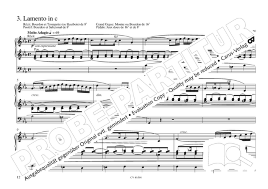 Free Organ Music from the Romantic Period, Vol. III (Freie Orgelmusik der Romantik, Band III)