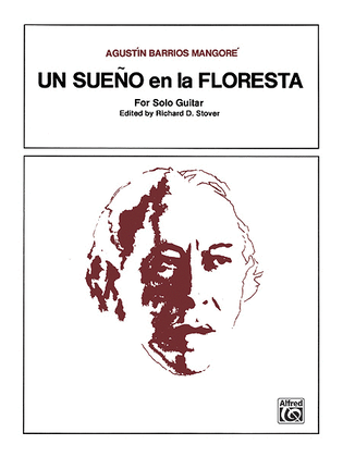 Book cover for Un Sueno en la Floresta