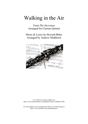 Book cover for Walking In The Air