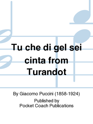 Book cover for Tu che di gel sei cinta from Turandot