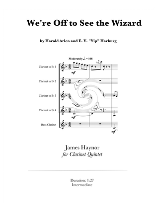 Book cover for We're Off To See The Wizard