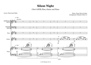 Book cover for Silent Night