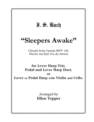 Book cover for Sleepers Awake