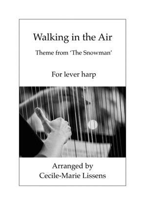 Book cover for Walking In The Air