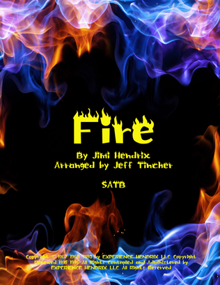 Book cover for Fire