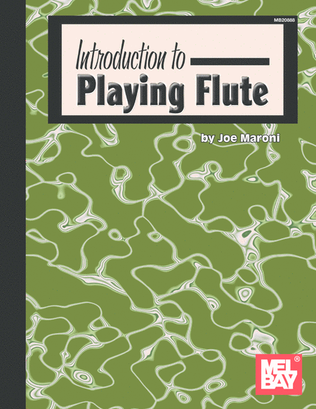 Book cover for Introduction To Playing Flute