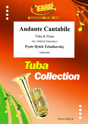 Book cover for Andante Cantabile