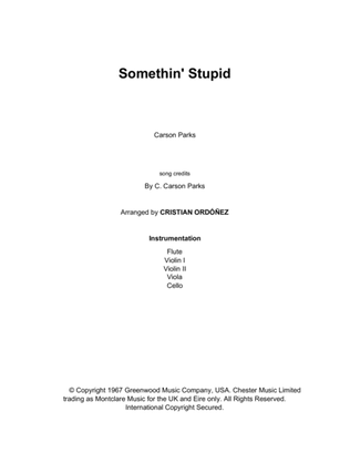 Book cover for Somethin' Stupid