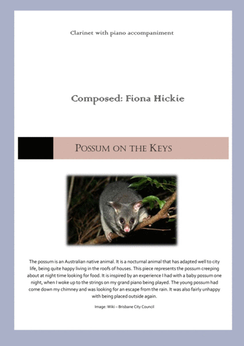 Possum on the Keys image number null