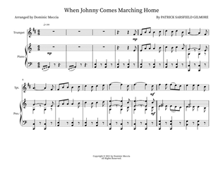 Book cover for When Johnny Comes Marching Home