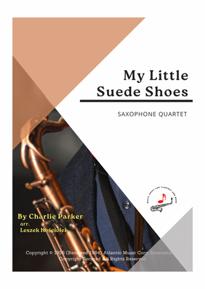 Book cover for My Little Suede Shoes