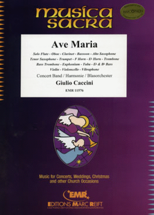 Book cover for Ave Maria