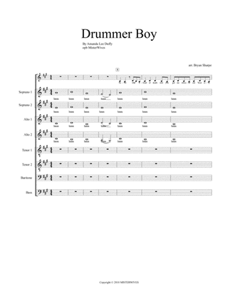 Book cover for Drummer Boy