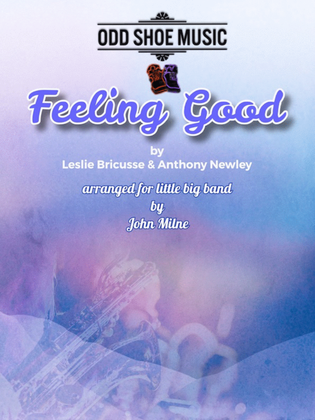 Book cover for Feeling Good