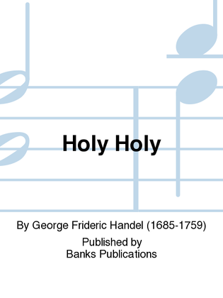 Book cover for Holy Holy