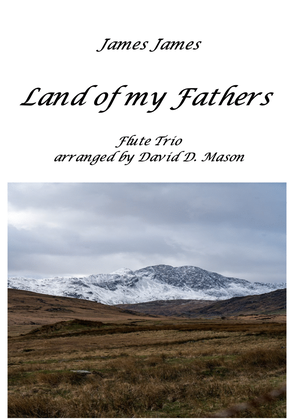 Book cover for Land of my Fathers