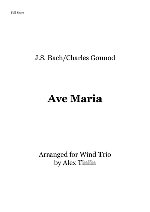 Book cover for Ave Maria