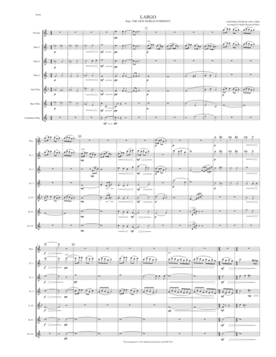LARGO from The New World Symphony (for flute choir) image number null