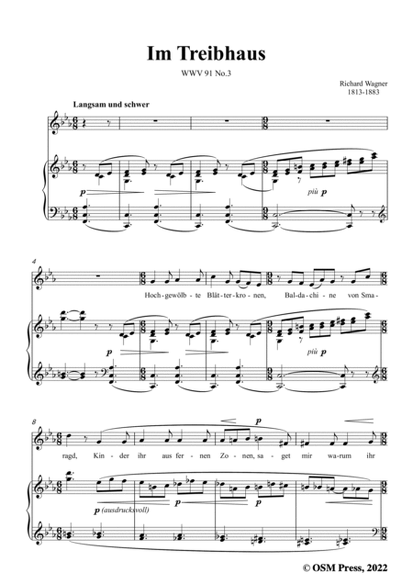 R. Wagner-Im Treibhaus,in c minor,WWV 91 No.3,from Wesendonck-Lieder image number null