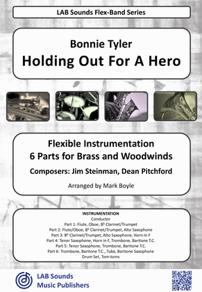 Book cover for Holding Out For A Hero