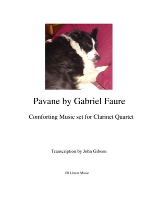 Book cover for Faure - Pavane set for clarinet quartet