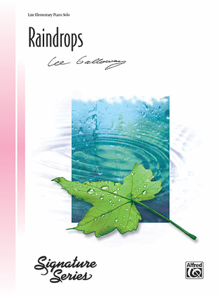 Book cover for Raindrops