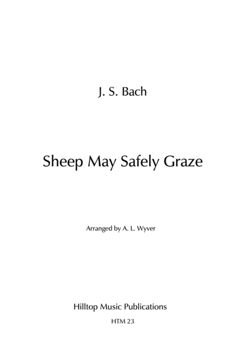 Sheep May Safely Graze arr. flute and bassoon image number null