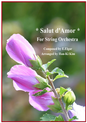 Book cover for Salut d'Amor (For String Orchestra)